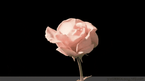 手机拍摄延时摄影