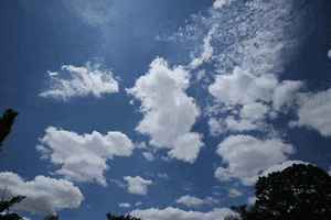 微信图片_20250204001955.gif